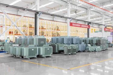 TSTY Electric Co., Ltd. خط تولید تولید کننده