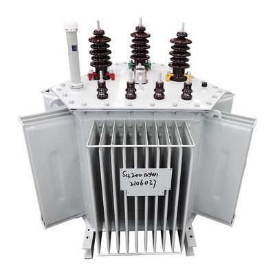 ترانسفورماتور 300kVA فاز 3 11kv/0.4kv پر از روغن 400kV با فرکانس 50/60Hz