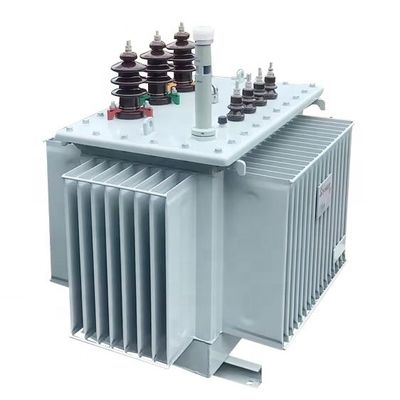 100kVA 10kV یک فاز قدرت نصب شده ترانسفورماتور 11kV 800kVA ترانسفورماتور غوطه ور روغن