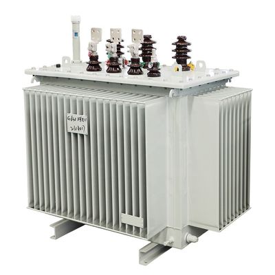 100kva 200KVA 300KVA 500KVA 1000KVA 3 مرحله ترانسفورماتور برق توزیع غوطه ور شده